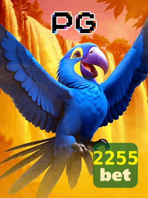 2255BET bônus — cashback 15 por cento e níveis VIP